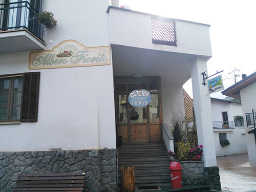 Alberofiorito