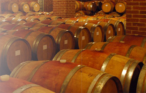 wijngebied barolo2