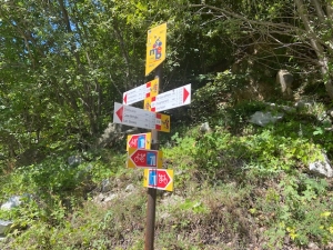 Wegwijzer onderweg